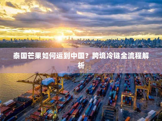 泰国芒果如何运到中国？跨境冷链全流程解析