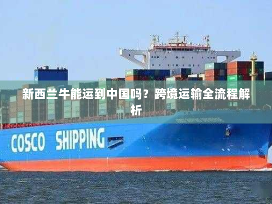 新西兰牛能运到中国吗?跨境运输全流程解析 新西兰牛能运到中国吗?跨境运输全流程解析