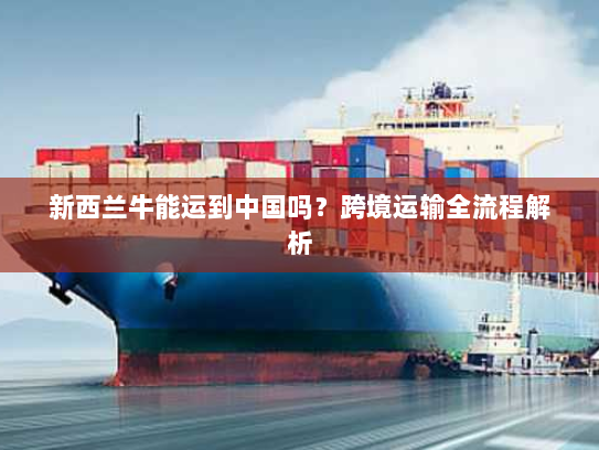 新西兰牛能运到中国吗?跨境运输全流程解析 新西兰牛能运到中国吗?跨境运输全流程解析