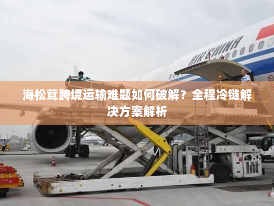 海松茸跨境运输难题如何破解？全程冷链解决方案解析