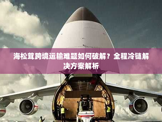 海松茸跨境运输难题如何破解？全程冷链解决方案解析