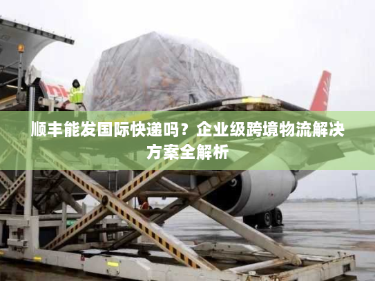顺丰能发国际快递吗?企业级跨境物流解决方案全解析 顺丰能发国际快递吗?企业级跨境物流解决方案全解析