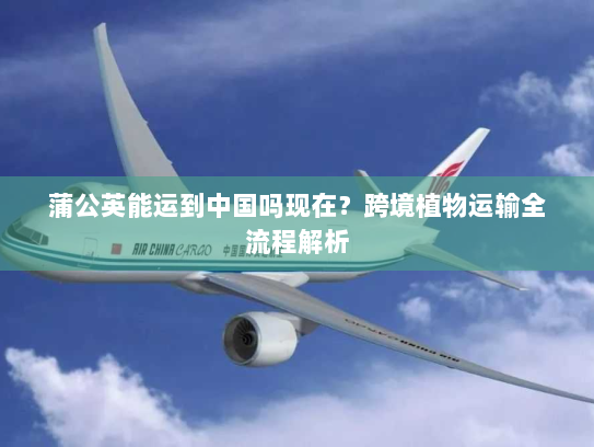 蒲公英能运到中国吗现在?跨境植物运输全流程解析 蒲公英能运到中国吗现在?跨境植物运输全流程解析