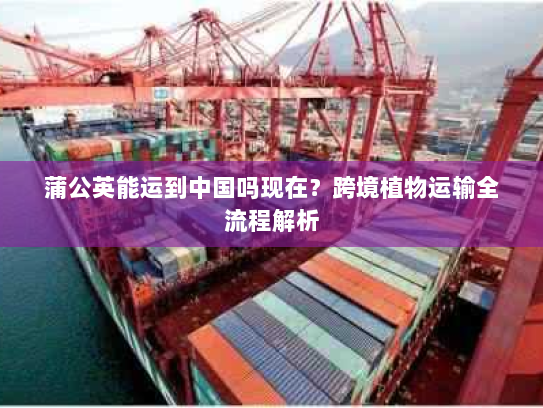 蒲公英能运到中国吗现在?跨境植物运输全流程解析 蒲公英能运到中国吗现在?跨境植物运输全流程解析