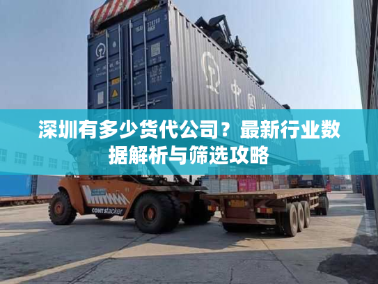 深圳有多少货代公司？最新行业数据解析与筛选攻略
