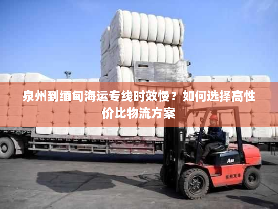 泉州到缅甸海运专线时效慢？如何选择高性价比物流方案