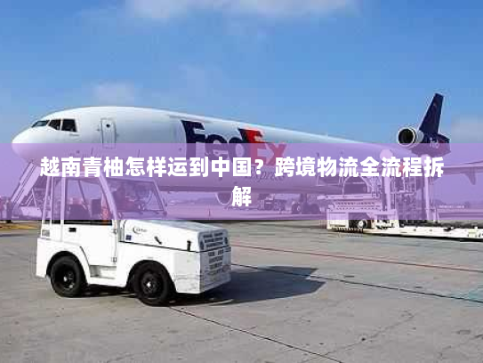 越南青柚怎样运到中国?跨境物流全流程拆解 越南青柚怎样运到中国?跨境物流全流程拆解