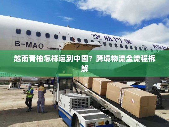 越南青柚怎样运到中国?跨境物流全流程拆解 越南青柚怎样运到中国?跨境物流全流程拆解