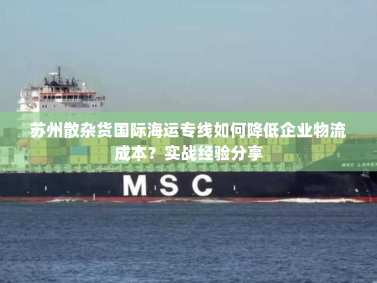 苏州散杂货国际海运专线如何降低企业物流成本?实战经验分享 苏州散杂货国际海运专线如何降低企业物流成本?实战经验分享
