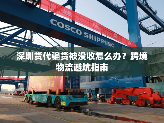 深圳货代骗货被没收怎么办？跨境物流避坑指南