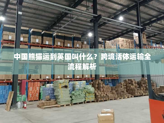中国熊猫运到英国叫什么?跨境活体运输全流程解析 中国熊猫运到英国叫什么?跨境活体运输全流程解析