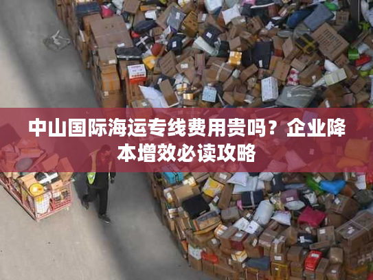 中山国际海运专线费用贵吗?企业降本增效必读攻略 中山国际海运专线费用贵吗?企业降本增效必读攻略