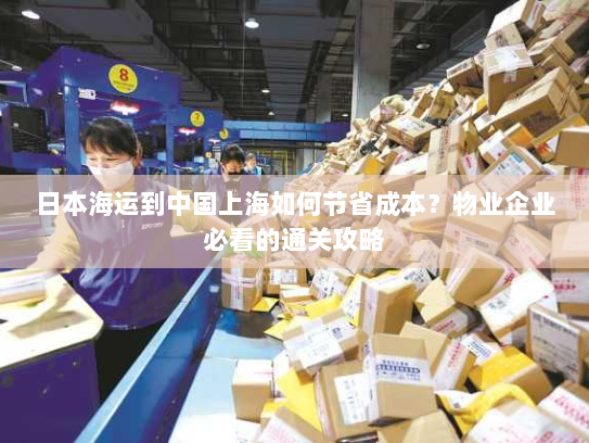 日本海运到中国上海如何节省成本？物业企业必看的通关攻略