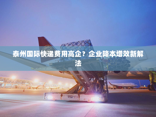 泰州国际快递费用高企?企业降本增效新解法 泰州国际快递费用高企?企业降本增效新解法