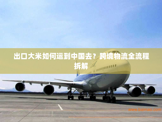 出口大米如何运到中国去？跨境物流全流程拆解