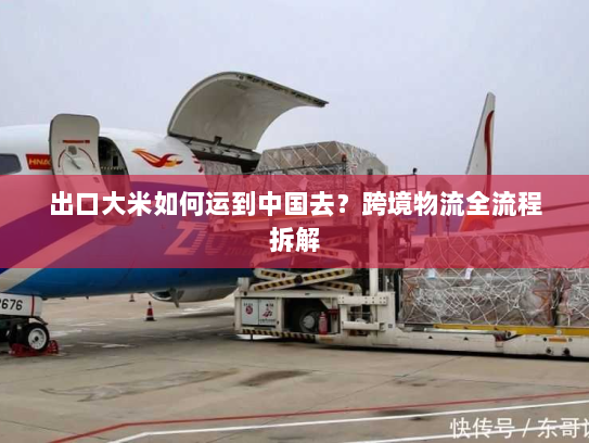出口大米如何运到中国去?跨境物流全流程拆解 出口大米如何运到中国去?跨境物流全流程拆解