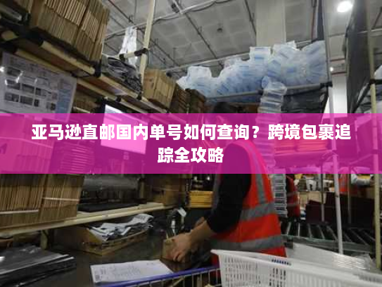 亚马逊直邮国内单号如何查询?跨境包裹追踪全攻略 亚马逊直邮国内单号如何查询?跨境包裹追踪全攻略