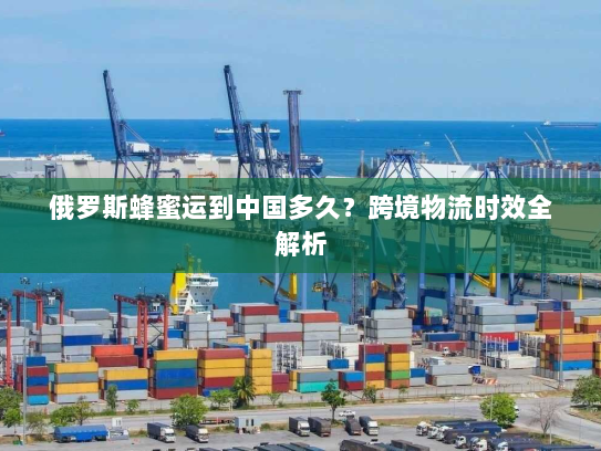 俄罗斯蜂蜜运到中国多久?跨境物流时效全解析 俄罗斯蜂蜜运到中国多久?跨境物流时效全解析