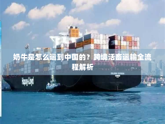 奶牛是怎么运到中国的?跨境活畜运输全流程解析 奶牛是怎么运到中国的?跨境活畜运输全流程解析