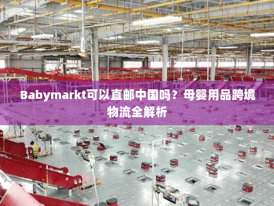 Babymarkt可以直邮中国吗?母婴用品跨境物流全解析 Babymarkt可以直邮中国吗?母婴用品跨境物流全解析