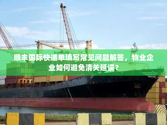 顺丰国际快递单填写常见问题解答，物业企业如何避免清关延误？