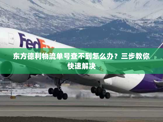 东方德利物流单号查不到怎么办？三步教你快速解决