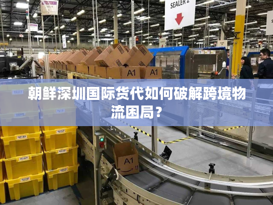 朝鲜深圳国际货代如何破解跨境物流困局? 朝鲜深圳国际货代如何破解跨境物流困局?