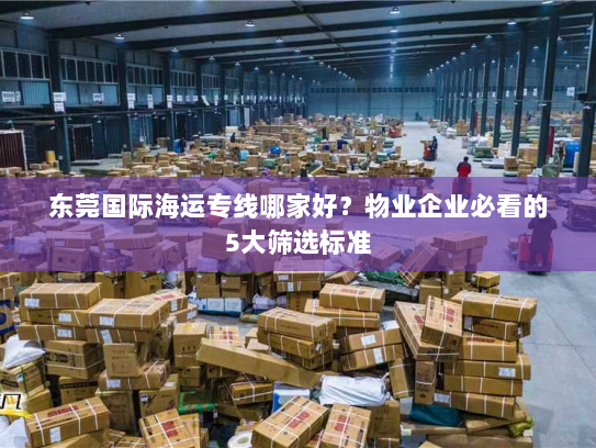 东莞国际海运专线哪家好？物业企业必看的5大筛选标准