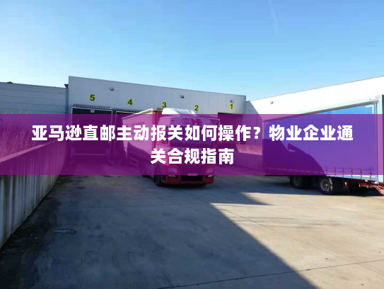 亚马逊直邮主动报关如何操作？物业企业通关合规指南