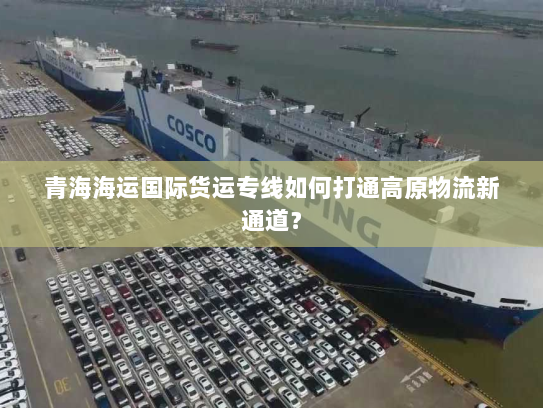 青海海运国际货运专线如何打通高原物流新通道? 青海海运国际货运专线如何打通高原物流新通道?