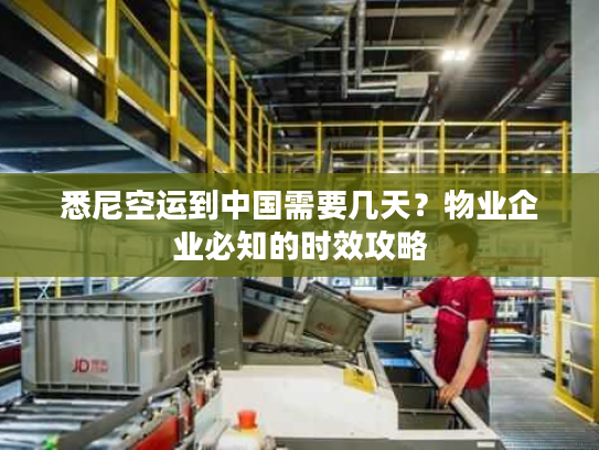 悉尼空运到中国需要几天？物业企业必知的时效攻略