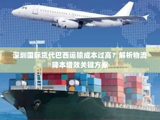 深圳国际货代巴西运输成本过高?解析物流降本增效关键方案 深圳国际货代巴西运输成本过高?解析物流降本增效关键方案