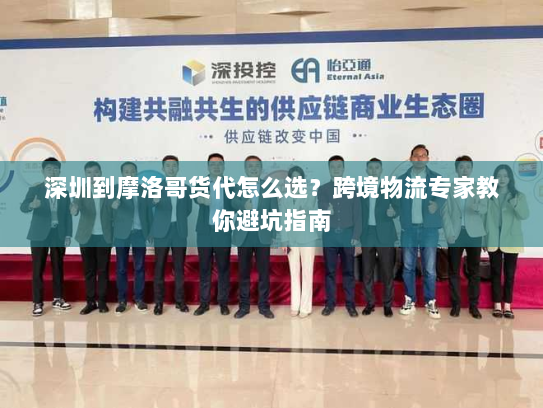 深圳到摩洛哥货代怎么选?跨境物流专家教你避坑指南 深圳到摩洛哥货代怎么选?跨境物流专家教你避坑指南