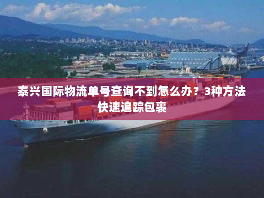 泰兴国际物流单号查询不到怎么办？3种方法快速追踪包裹
