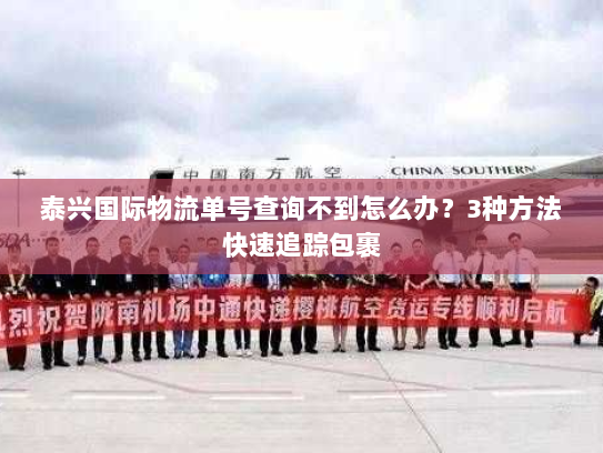 泰兴国际物流单号查询不到怎么办？3种方法快速追踪包裹