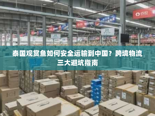 泰国观赏鱼如何安全运输到中国?跨境物流三大避坑指南 泰国观赏鱼如何安全运输到中国?跨境物流三大避坑指南