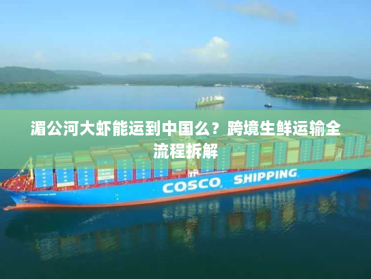 湄公河大虾能运到中国么?跨境生鲜运输全流程拆解 湄公河大虾能运到中国么?跨境生鲜运输全流程拆解