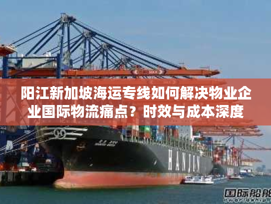 阳江新加坡海运专线如何解决物业企业国际物流痛点？时效与成本深度解析