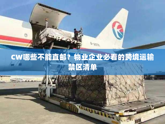 CW哪些不能直邮?物业企业必看的跨境运输禁区清单 CW哪些不能直邮?物业企业必看的跨境运输禁区清单