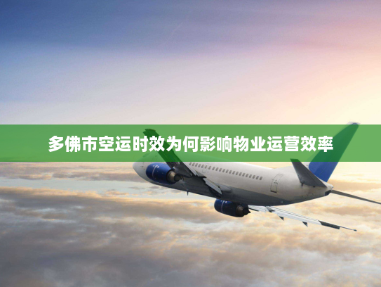 多佛市空运时效为何影响物业运营效率 多佛市空运时效为何影响物业运营效率