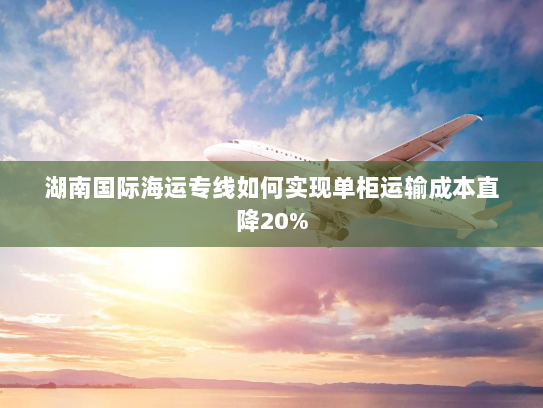 湖南国际海运专线如何实现单柜运输成本直降20% 湖南国际海运专线如何实现单柜运输成本直降20%