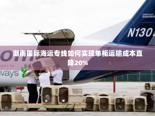 湖南国际海运专线如何实现单柜运输成本直降20% 湖南国际海运专线如何实现单柜运输成本直降20%