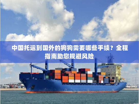 中国托运到国外的狗狗需要哪些手续？全程指南助您规避风险