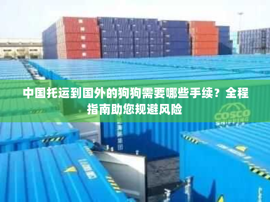 中国托运到国外的狗狗需要哪些手续？全程指南助您规避风险