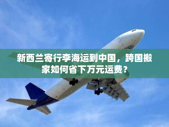 新西兰寄行李海运到中国，跨国搬家如何省下万元运费？