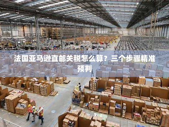 法国亚马逊直邮关税怎么算?三个步骤精准预判 法国亚马逊直邮关税怎么算?三个步骤精准预判