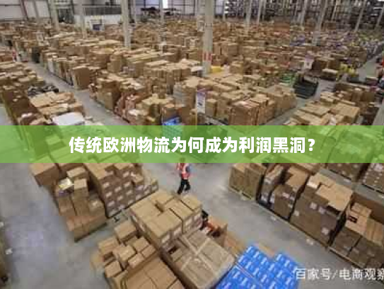 传统欧洲物流为何成为利润黑洞? 传统欧洲物流为何成为利润黑洞?