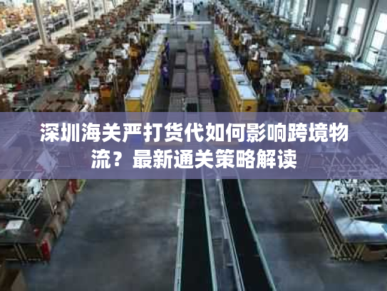 深圳海关严打货代如何影响跨境物流?最新通关策略解读 深圳海关严打货代如何影响跨境物流?最新通关策略解读