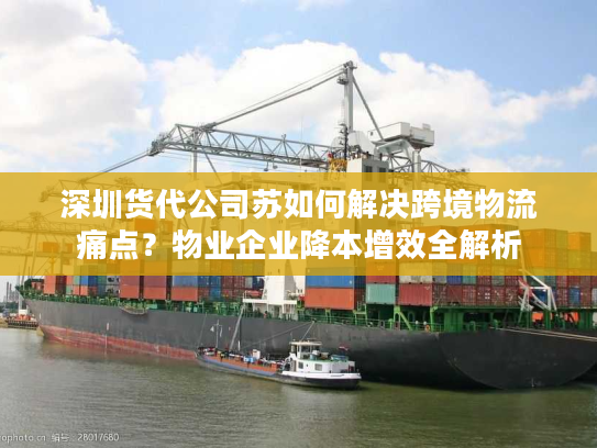 深圳货代公司苏如何解决跨境物流痛点？物业企业降本增效全解析
