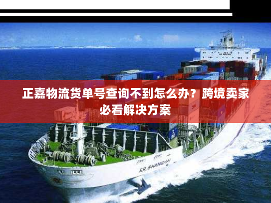 正嘉物流货单号查询不到怎么办？跨境卖家必看解决方案